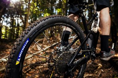 Pneu VTT Michelin Wild AM2 Competition Line 29'' Tubeless Ready Souple Gravity Shield GUM-X E-Bike Ready — vue 5