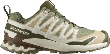 Salomon XA Pro 3D v9 GTX Trailschoenen Groen/Beige Heren