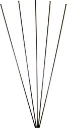 Lot de 5 rayons complet ats pour velo Massi