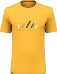 Camiseta Salewa Pure Stripes Dry Yellow