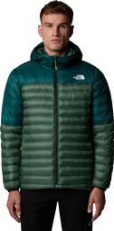 Doudoune The North Face Terra Peak Hoodie Vert Homme