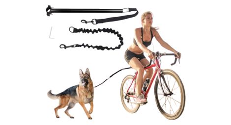Laisse vélo pour chien avec fixation sur tige de selle - Barre latérale en acier + laisse élastique amovible