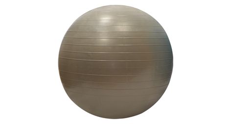Gymball sporti france 55cm