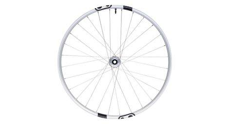 Crankbrothers Synthesis Enduro Alloy 2.0 I9 29'' | Boost 15x110mm | 6 agujeros | Plata rueda delantera