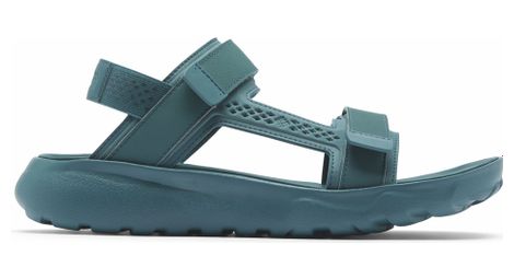 Sandales de Randonnée Columbia Peakfreak Roam Bleu Homme