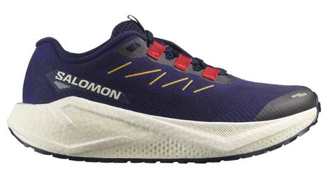 Scarpe da corsa salomon aero blaze 3 grvl blu donna