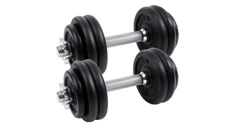 Lot de 2 haltères courts en fonte 30 kg sport fitness musculation