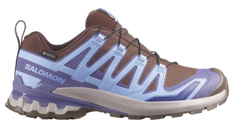Chaussures Trail Salomon XA Pro 3D V9 GTX Bleu/Marron Femme