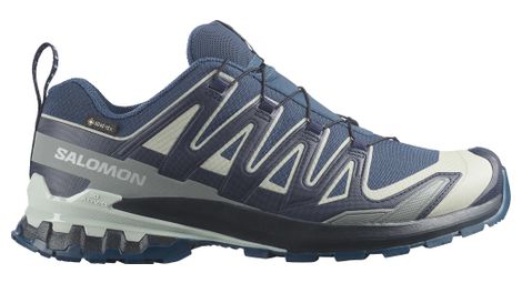 Chaussures Trail Salomon XA Pro 3D V9 GTX Bleu/Gris Homme