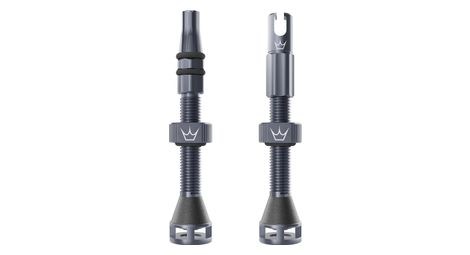 Peaty S Holeshot Fast Flow Tubeless Ventile Schiefergrau