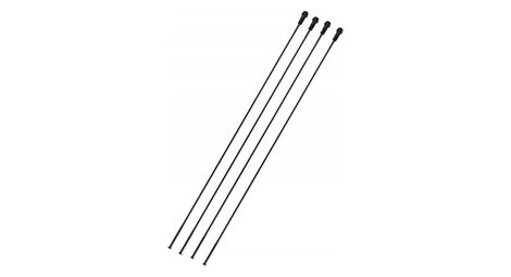 Rayon disque arrière gauche campagnolo shamal ultra