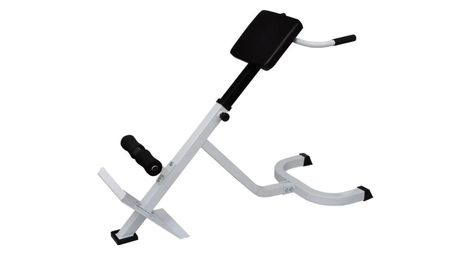 Banc de musculation du dos acier sport fitness musculation blanc et noir