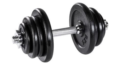 1 haltere court et 4 poids de musculation en acier et fonte 25 kg