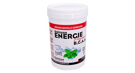 Boisson energétique fenioux energie progressive b.c.a.a - menthe - 600 g