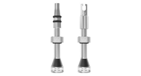 Peaty S Holeshot Fast Flow Tubeless Ventile Silber