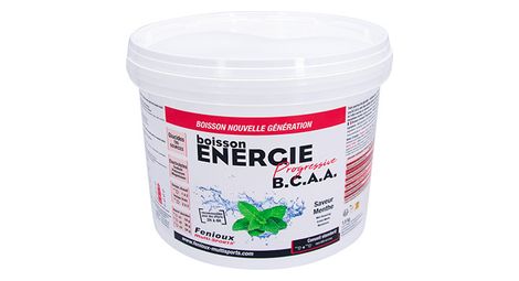 Fenioux progressive performance energy drink b.c.a.a - menta - 1,5 kg