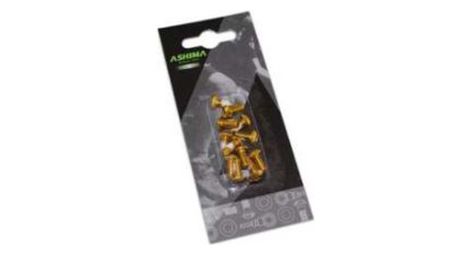 Ashima kit 12 vis pour disques or