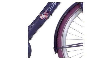 Alpina garde-boue set 24 clubb violet gris