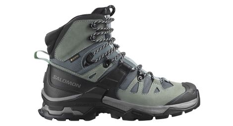Chaussures de Randonnée Salomon Quest 4 GTX Bleu Femme