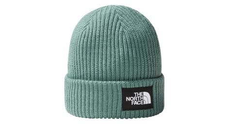 Bonnet unisexe the north face salty lined vert