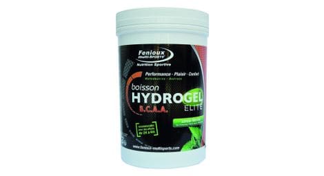 Energy drink fenioux hydrogel bcaa elite mint 600g
