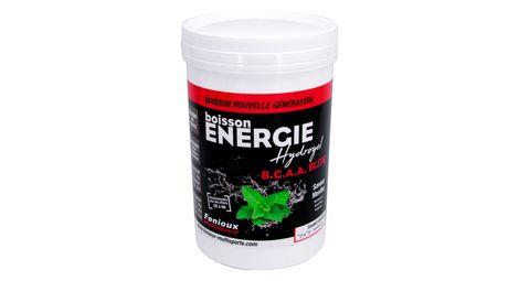 Energy drink fenioux hydrogel bcaa elite mint 600g
