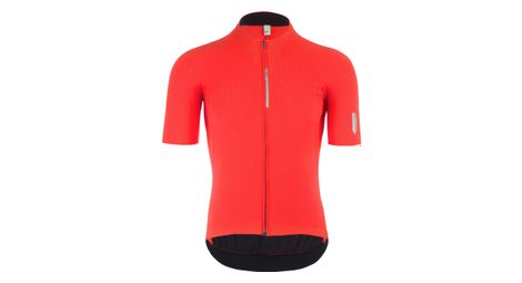 Maillot manches courtes q36.5 pinstripe pro rouge