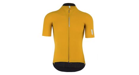 Maillot manches courtes q36 5 pinstripe pro jaune