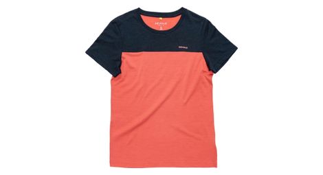 Dames Devold Classic Linear Blue Pink T-Shirt