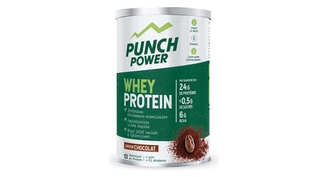 Punch power whey protein 350 g - chocolat