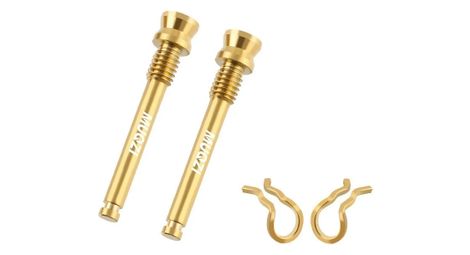 Vis étrier de frein à disque – doré – 2 pièces + clips