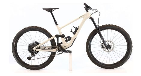 Produit reconditionné · Specialized Enduro Elite 29 GX / Vélo VTT | Très bon état