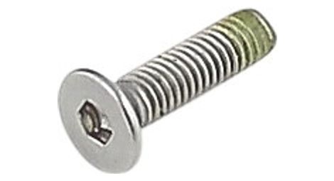 Vis pour patte de dérailleur trek m3 x 12mm