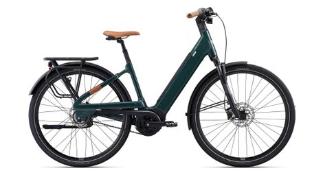 Elektrisches citybike liv allure e+1 shimano nexus 5v 500 wh trekking green