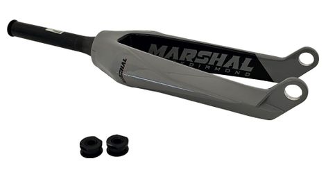 Fourche carbone 20'' « BLACKDIAMOND » Gris
