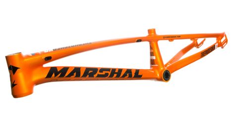 Cadre Aluminium THEPUNISHER V2 ''PUMPKIN'' PRO XL (21")