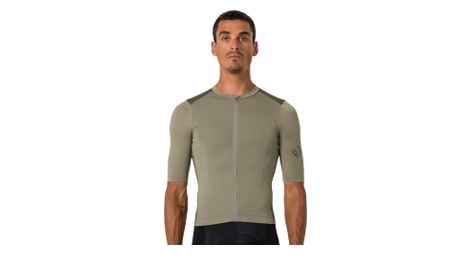 Rapha Pro Team Training Kurzarmtrikot Grün/Khaki Herren