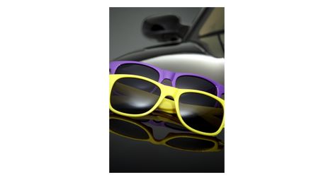 Lunette de soleil masterdis gstwo