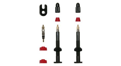 Paire de valve de pneu tubeless p2r presta