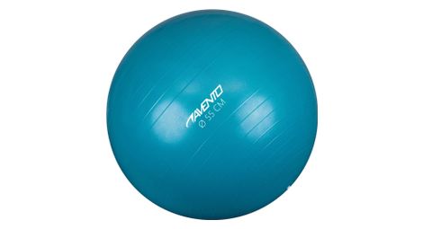 Avento ballon de fitness/d'exercice diamètre 55 cm bleu