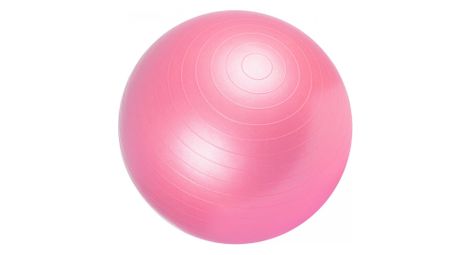 Swiss ball ballon de gym tailles 55 cm 65 cm 75 cm couleur fuchsia diametre 65 cm