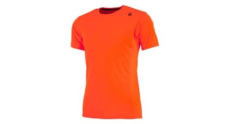 T-shirt de sport rogelli basic - homme