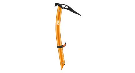 Piolet petzl gully marteau