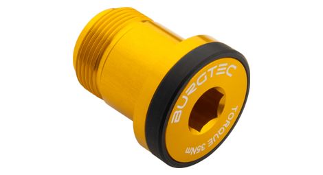 Vite per deragliatore Burgtec Bolt 1 per Sram T-Type Burgtec Bullion Gold