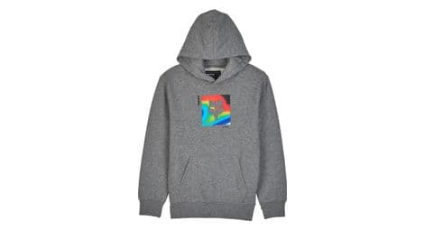 Sweat à capuche scans pullover enfant gris