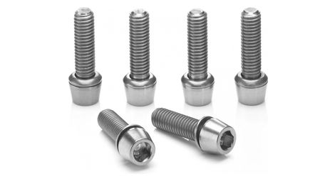 Ritchey titanium stem bolt set silver (6 viti)