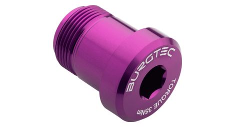 Vis de Dérailleur Burgtec Bolt 2 pour Sram T-Type Violet Rain