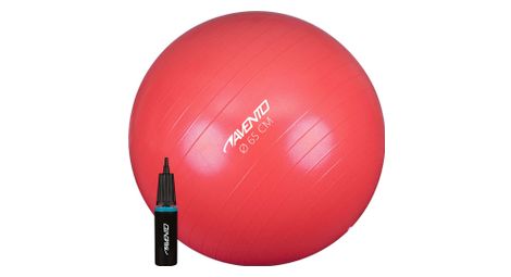 Avento ballon de fitness d exercice avec pompe diametre 65 cm rose