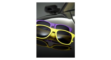Lunette de soleil masterdis gstwo