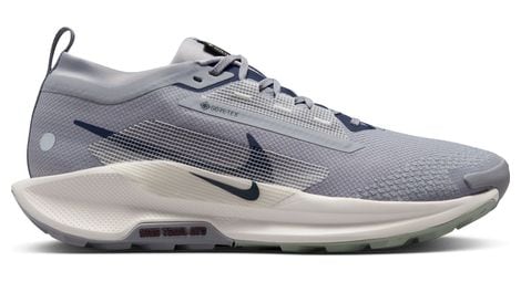 Chaussures trail nike pegasus trail 5 gtx gris homme